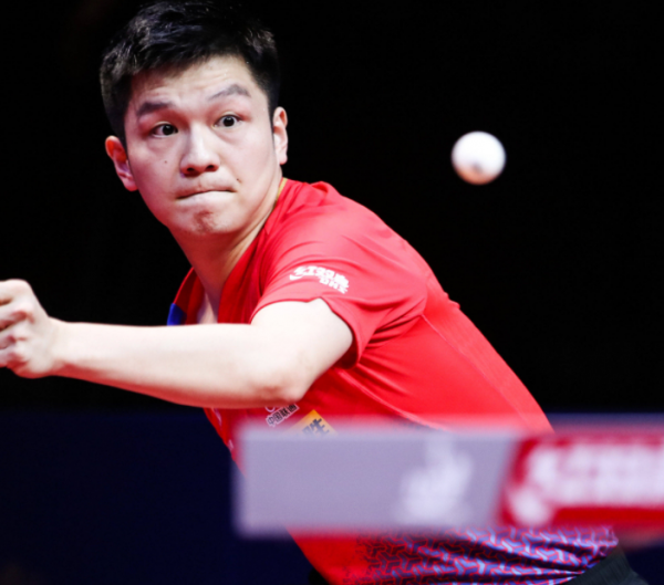 他们须在 他们须在