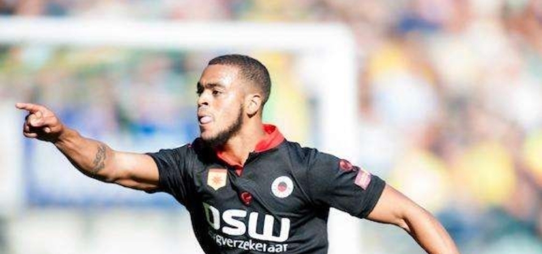 数据显示 数据显示